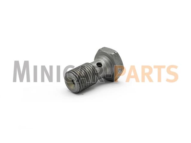Banjobultbromsslang (M10x100)